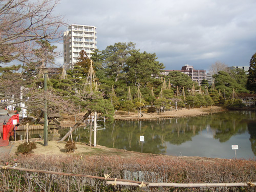 鑑賞会風景