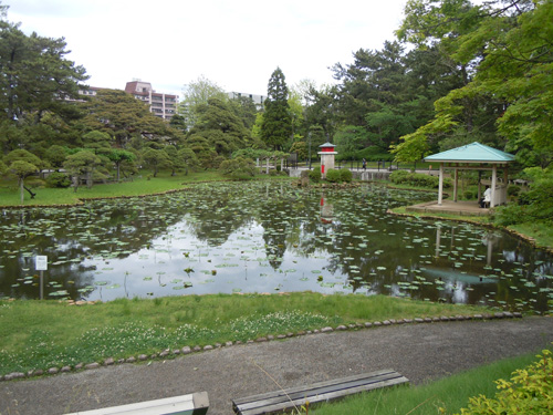 鑑賞会風景